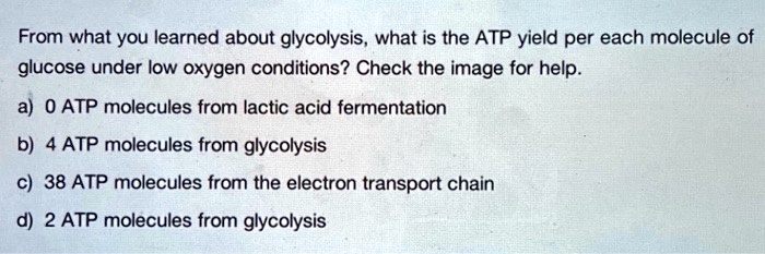 From what you learned about glycolysis, what is the ATP yield per each molecule of glucose under low oxygen conditions? Check the image for help.

a) 0 ATP molecules from lactic acid fermentation
b) 4 ATP molecules from glycolysis
c) 38 ATP molecules from the electron transport chain
d) 2 ATP molecules from glycolysis