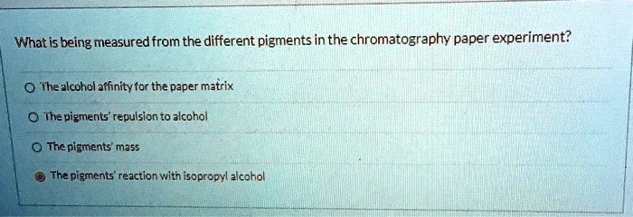 What is being measured from the different pigments in the chromatography paper experiment?
The alcohol affinity for the paper matrix
The pigments' repulsion to alcohol
The pigments' mass
The pigments' reaction with isopropyl alcohol