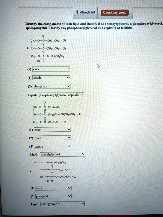 SOLVED attempts Teft Check mny work Identify the components of each