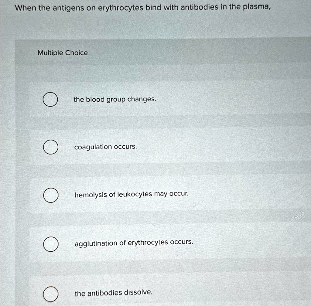 When the antigens on erythrocytes bind with antibodies in the plasma,
Multiple Choice
the blood group changes.
coagulation occurs.
hemolysis of leukocytes may occur.
agglutination of erythrocytes occurs.
the antibodies dissolve.