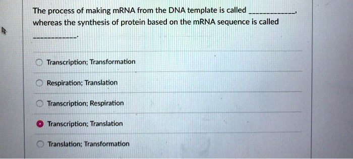 the synthesis of mrna based on a dna template is called