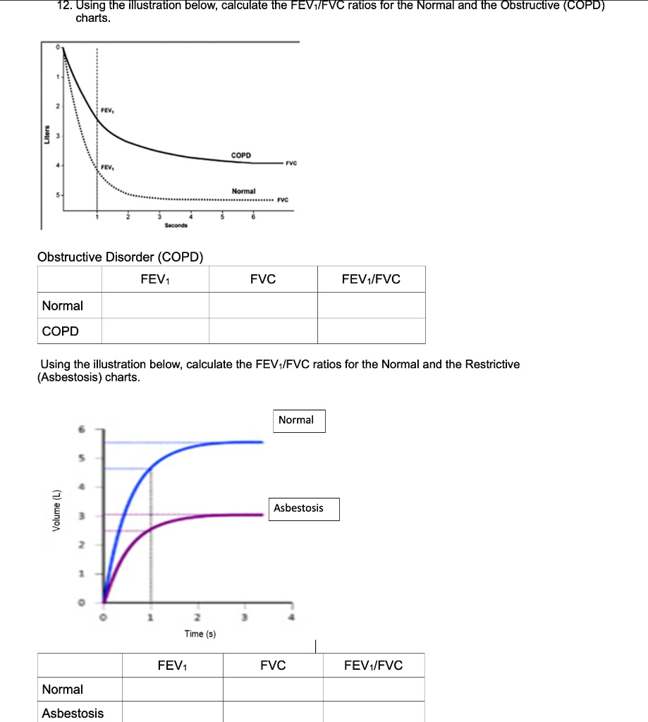 SOLVED 12 Using The Illustration Below calculate The FEV FVCratios For 