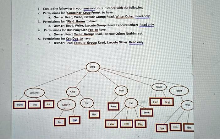 1. Create the following in your amazon Linux instance with the ...