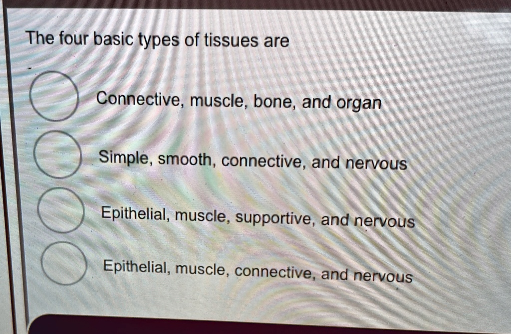 The four basic types of tissues are Connective, muscle,...