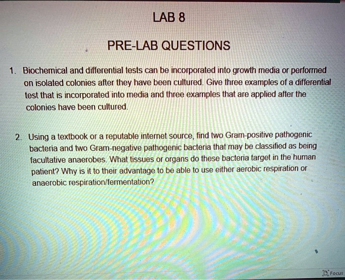 SOLVED LAB 8 PRELAB QUESTIONS Biochemical and differential tests can