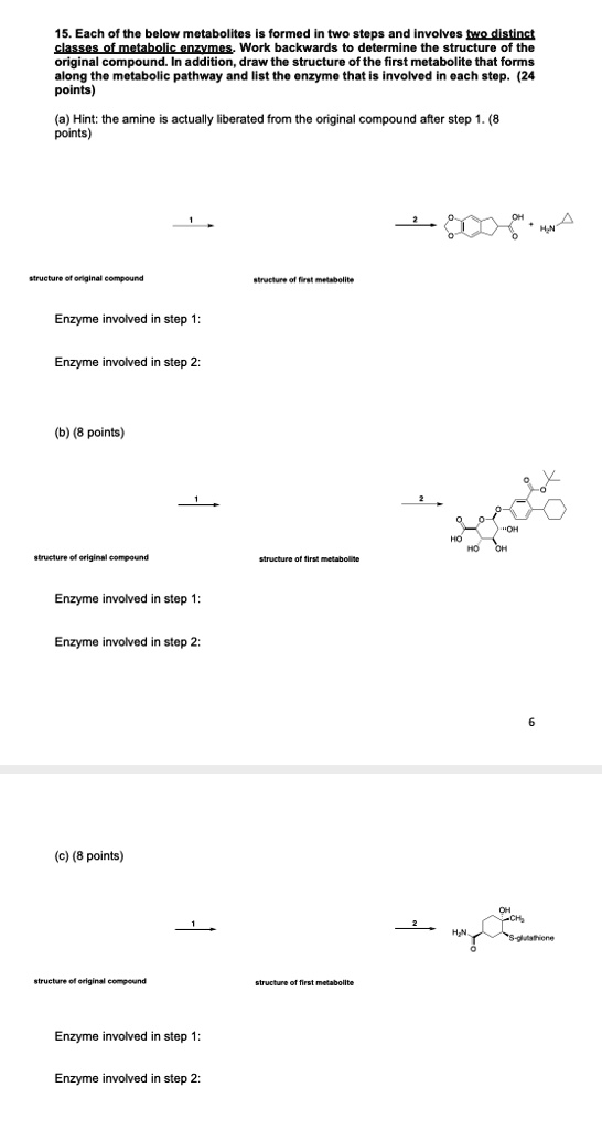 SOLVED Each Of The Below Metabolites Forms And Involves Both Classes solved-each-of-the-below-metabolites-forms-and-involves-both-classes