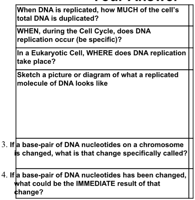 When DNA is replicated, how much of the cell's total DNA is duplicated