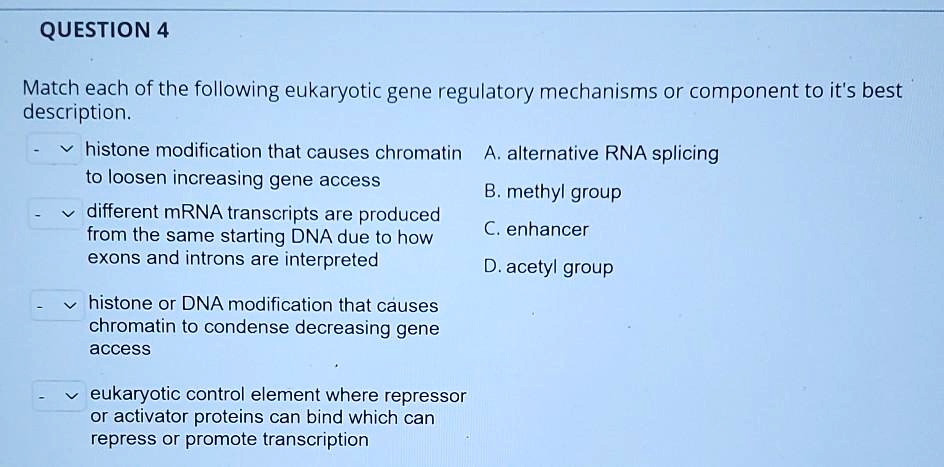 Match each of the following eukaryotic gene regulatory mechanisms or component to it's best description.

histone modification that causes chromatin to loosen increasing gene access

different mRNA transcripts are produced from the same starting DNA due to how exons and introns are interpreted

histone or DNA modification that causes chromatin to condense decreasing gene access

eukaryotic control element where repressor or activator proteins can bind which can repress or promote transcription

A. alternative RNA splicing
B. methyl group
C. enhancer
D. acetyl group