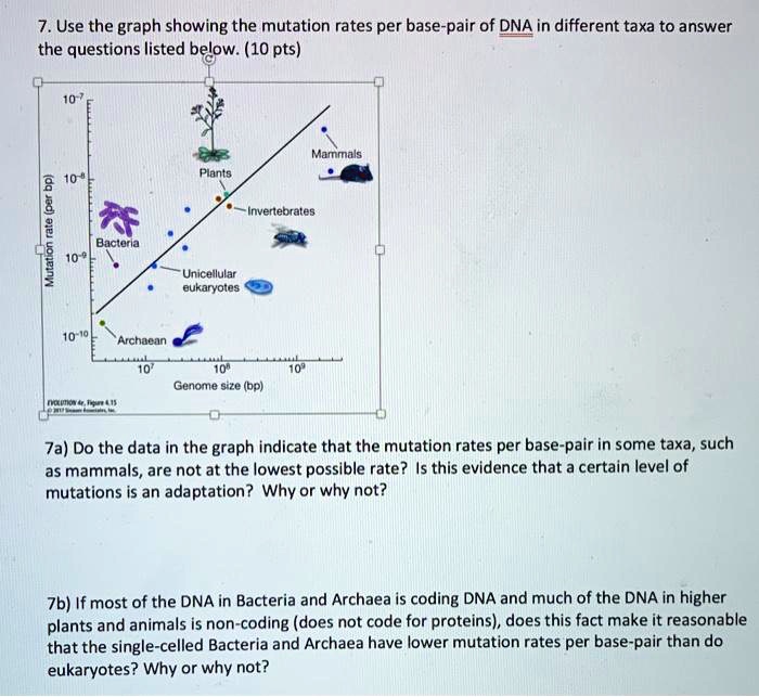 Solved 7 Use The Graph Showing The Mutation Rates Per Base Pair Of Dna In Different Taxa To Answer The Questions Listed Below 10 Pts Mammals Plants 0 Invertebrates Bactoria 10 Unicellular