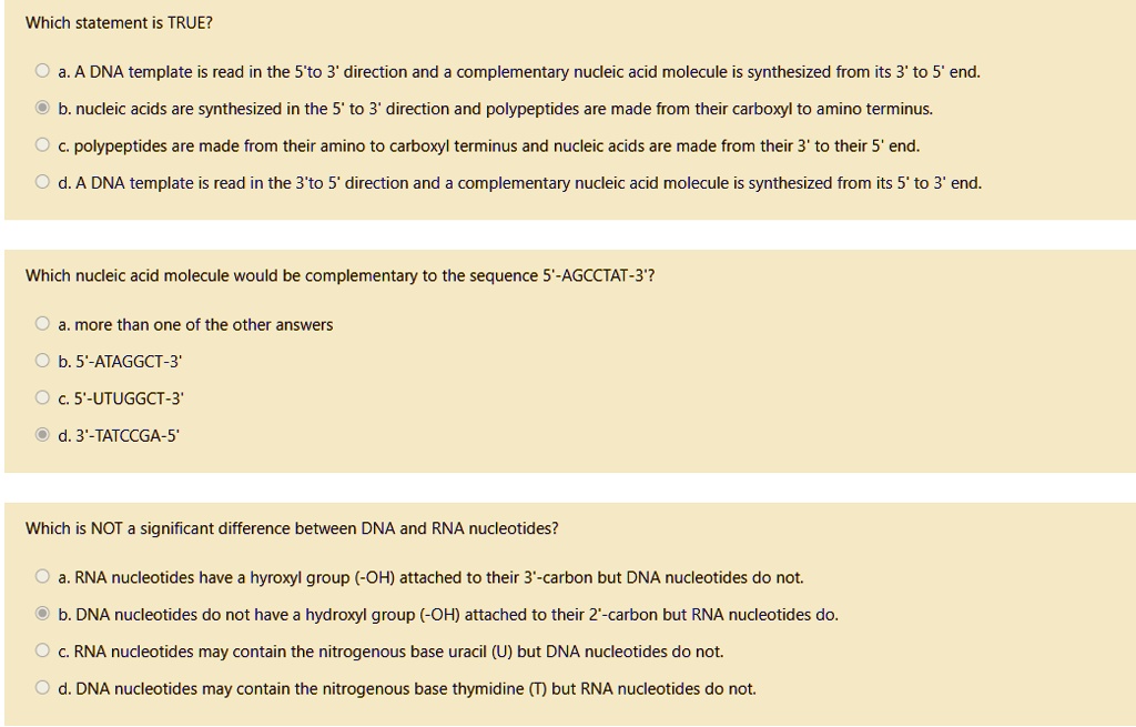 Which statement is TRUE?

a. A DNA template is read in the 5'to 3' direction and a complementary nucleic acid molecule is synthesized from its 3' to 5' end.
b. nucleic acids are synthesized in the 5' to 3' direction and polypeptides are made from their carboxyl to amino terminus.
c. polypeptides are made from their amino to carboxyl terminus and nucleic acids are made from their 3' to their 5' end.
d. A DNA template is read in the 3'to 5' direction and a complementary nucleic acid molecule is synthesized from its 5' to 3' end.

Which nucleic acid molecule would be complementary to the sequence 5'-AGCCTAT-3'?

a. more than one of the other answers
b. 5'-ATAGGCT-3'
c. 5'-UTUGGCT-3'
d. 3'-TATCCGA-5'

Which is NOT a significant difference between DNA and RNA nucleotides?

a. RNA nucleotides have a hyroxyl group (-OH) attached to their 3'-carbon but DNA nucleotides do not.
b. DNA nucleotides do not have a hydroxyl group (-OH) attached to their 2'-carbon but RNA nucleotides do.
c. RNA nucleotides may contain the nitrogenous base uracil (U) but DNA nucleotides do not.
d. DNA nucleotides may contain the nitrogenous base thymidine (T) but RNA nucleotides do not.