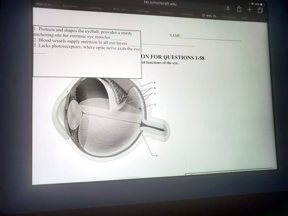 SOLVED Sign In Ott schoolcraft edu Laamino DDhe blaokboar Learning