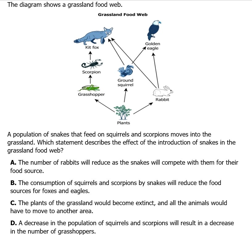 SOLVED: The diagram shows a grassland food web. Grassland Food Web ... Biology Diagrams