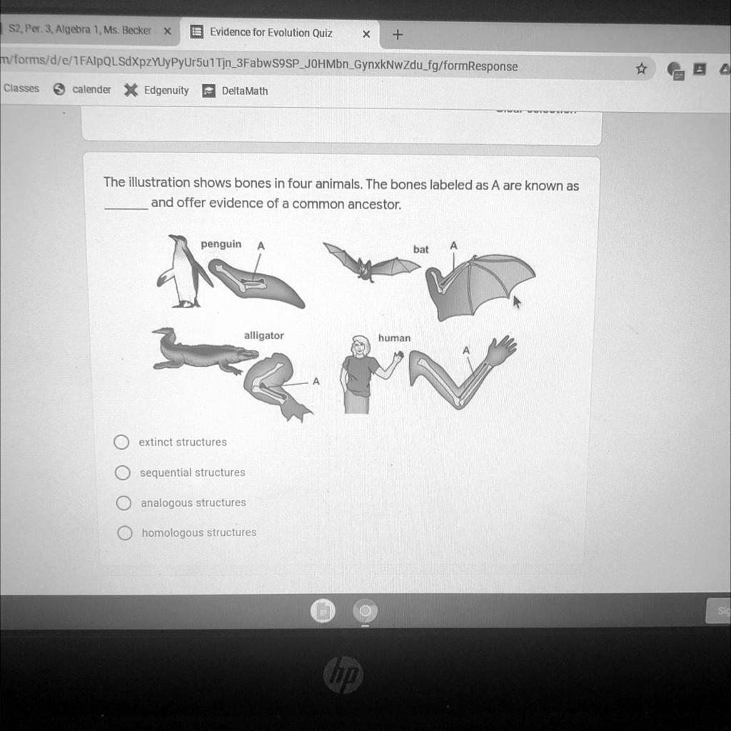 List 102+ Images A Bat Wing An Alligator Leg And A Human Arm Are