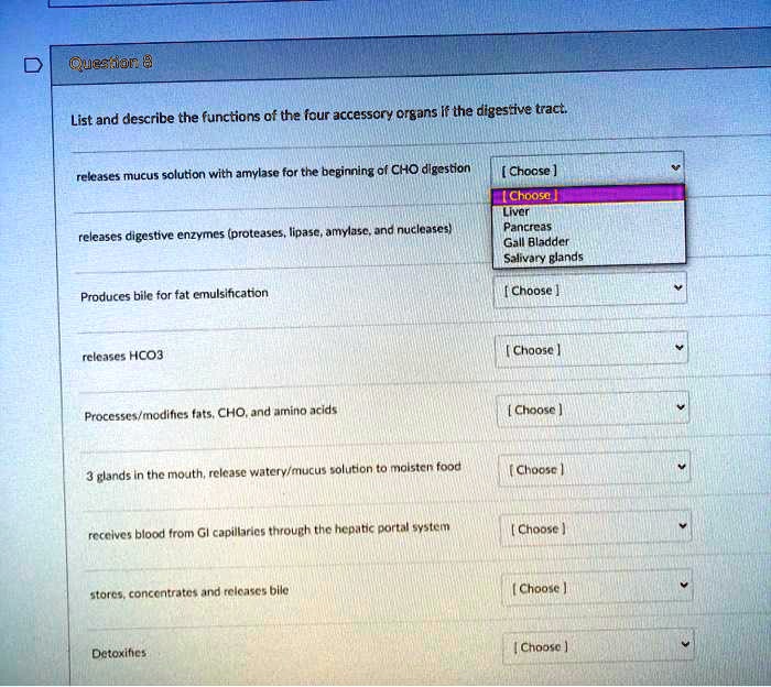 SOLVED List and describe the functions of the four accessory organs of