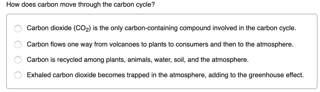 how-does-carbon-move-through-the-carbon-cycle-carbon-solvedlib