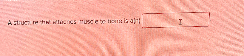 A structure that attaches muscle to bone is a(n) 