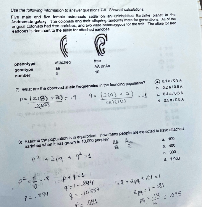 Solved Use The Following Information To Answer Questions 7 8 Show All Calculations Five Male And Five Female Astronauts Settle Uninhabited Earthlike Planet The Colonists And Their Offspring Randonly Mate For Generations All Of