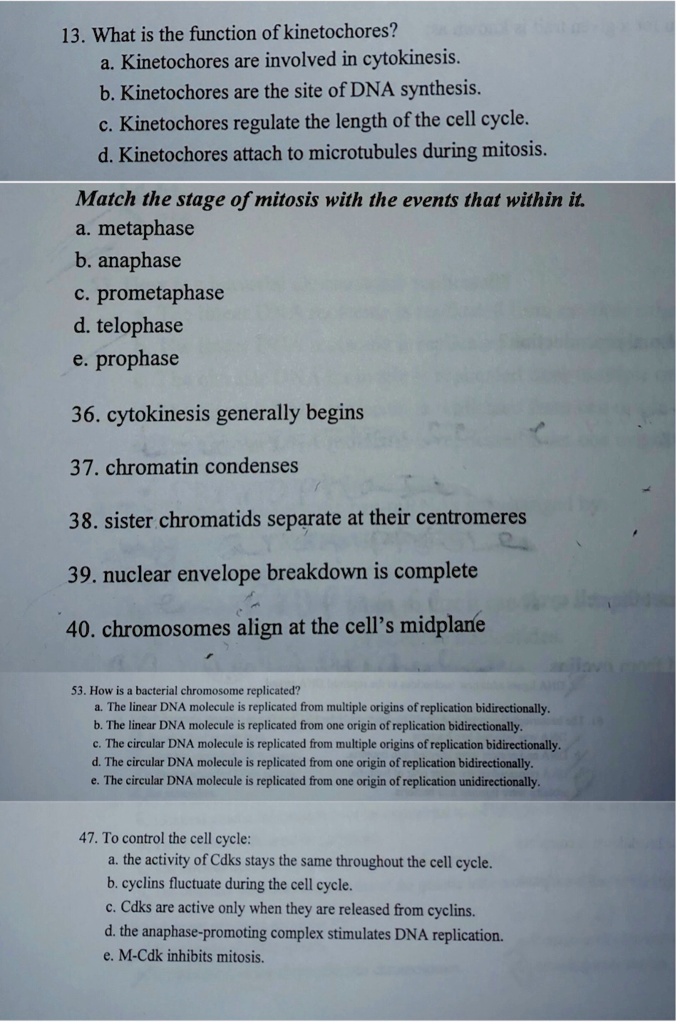 SOLVED 13. What is the function of a. are