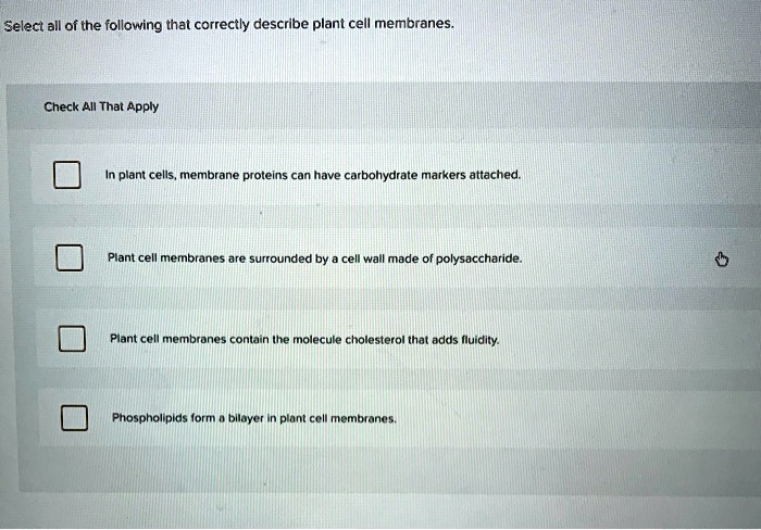 Select All Of The Following That Are Polysaccharides. SOLVED: Select all of the following that correctly describe plant cell