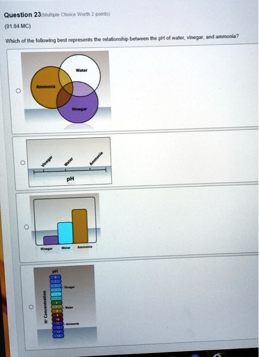 Question 23 (Multiple Choice Worth 2 points) (01.04 MC) Which of the following best represents