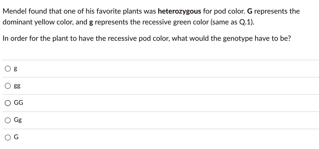 Mendel found that one of his favorite plants was...