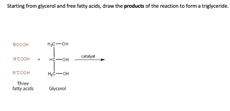 SOLVED: Starting from glycerol and free fatty acids, draw the products ...