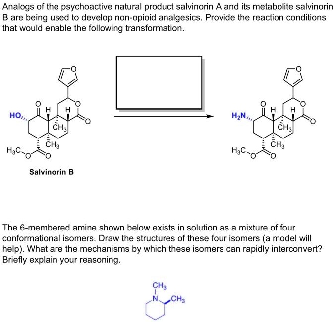 SOLVED:Analogs Of The Psychoactive Natural Product Salvinorin A And Its ...