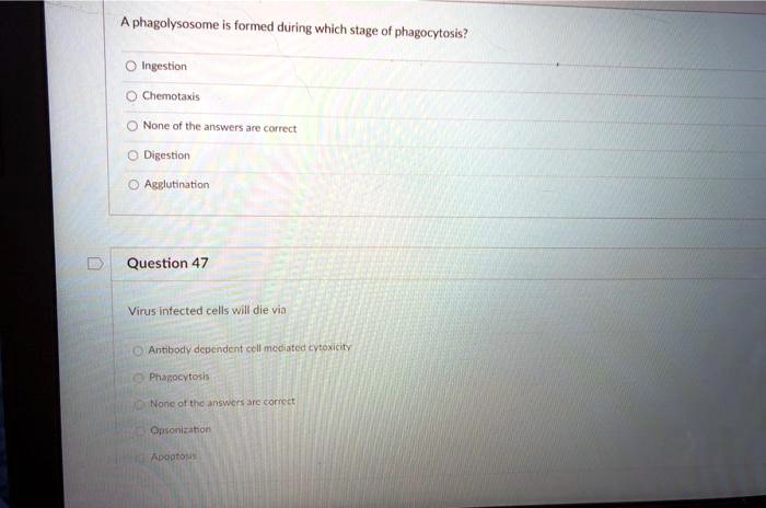 A phagolysosome is formed during which stage of phagocytosis?
Ingestion
Chemotaxis
None of the answers are correct
Digestion
Agglutination
Question 47
Virus infected cells will die via
Antibody dependent cell mediated cytotoxicity
Phagocytosis
None of the answers are correct
Opsonization
Apoptosis