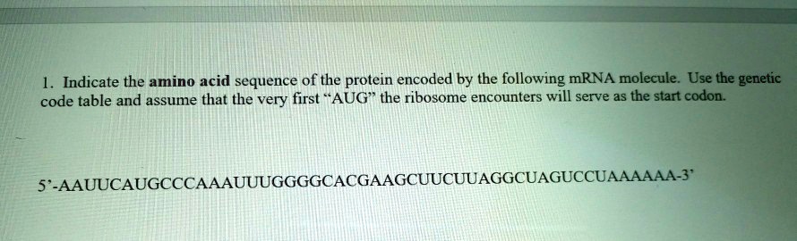 SOLVED: 1. Indicate the amino acid sequence of the protein encoded by ...