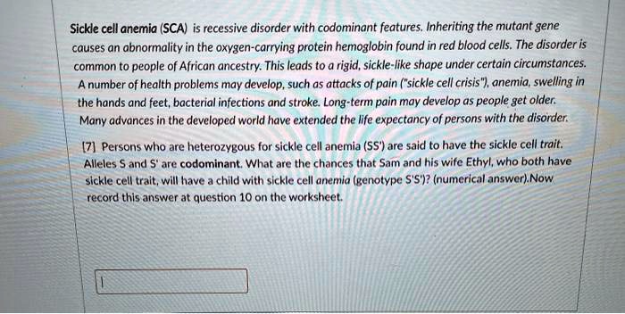 Sickle cell anemia (SCA) is recessive disorder with codominant features. Inheriting the mutant gene
causes an abnormality in the oxygen-carrying protein hemoglobin found in red blood cells. The disorder is
common to people of African ancestry. This leads to a rigid, sickle-like shape under certain circumstances.
A number of health problems may develop, such as attacks of pain ("sickle cell crisis"), anemia, swelling in
the hands and feet, bacterial infections and stroke. Long-term pain may develop as people get older.
Many advances in the developed world have extended the life expectancy of persons with the disorder.
Persons who are heterozygous for sickle cell anemia (SS') are said to have the sickle cell trait.
Alleles S and S' are codominant. What are the chances that Sam and his wife Ethyl, who both have
sickle cell trait, will have a child with sickle cell anemia (genotype S'S')? (numerical answer).Now
record this answer at question 10 on the worksheet.