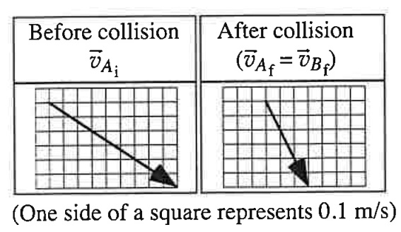 Before collision v⃗Ai After collision (v⃗Af = v⃗Bf) (One side of a ...