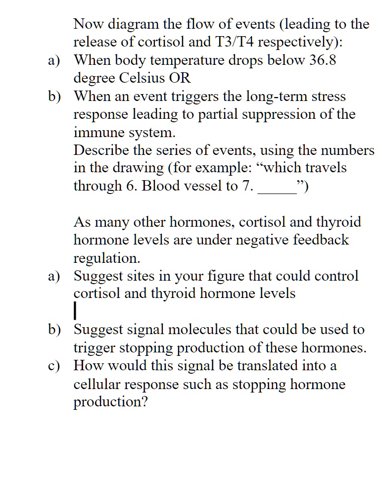 Now diagram the flow of events (leading to the release of cortisol and T3/T4 respectively):
a) When body temperature drops below 36.8 degree Celsius OR
b) When an event triggers the long-term stress response leading to partial suppression of the immune system.
Describe the series of events, using the numbers in the drawing (for example: "which travels through 6. Blood vessel to 7. ")

As many other hormones, cortisol and thyroid hormone levels are under negative feedback regulation.
a) Suggest sites in your figure that could control cortisol and thyroid hormone levels
b) Suggest signal molecules that could be used to trigger stopping production of these hormones.
c) How would this signal be translated into a cellular response such as stopping hormone production?