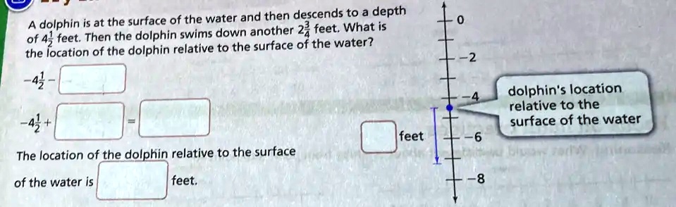 SOLVED: A dolphin is at the surface of the water and then descends to a ...