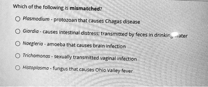 SOLVED: Which of the following mismatched? Plasmodium protozoan that ...