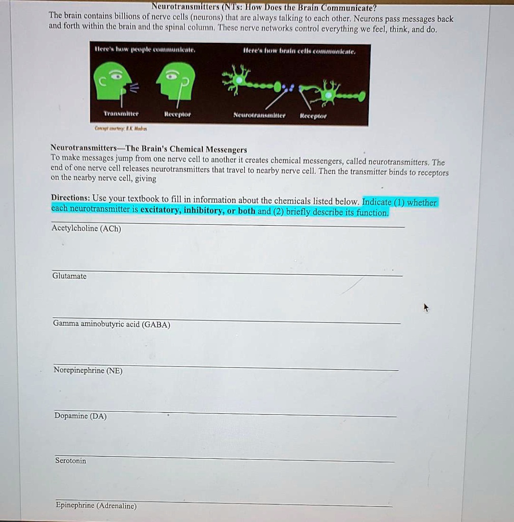 SOLVED: Neurotransmitters(NIs:How Does the Brain Communicate? The brain