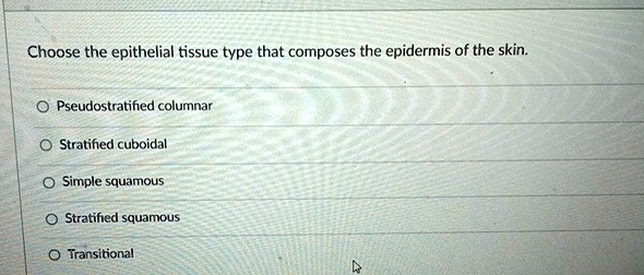 Transitional Vs Simple Columnar Choose the epithelial tissue type that composes the epidermis of the ...