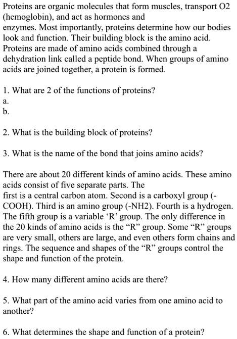 Proteins are organic molecules that form muscles, transport O2 (hemoglobin), and act as hormones and enzymes. Most importantly, proteins determine how our bodies look and function. Their building block is the amino acid. Proteins are made of amino acids combined through a dehydration link called a peptide bond. When groups of amino acids are joined together, a protein is formed.
1. What are 2 of the functions of proteins?
a.
b.
2. What is the building block of proteins?
3. What is the name of the bond that joins amino acids?
There are about 20 different kinds of amino acids. These amino acids consist of five separate parts. The first is a central carbon atom. Second is a carboxyl group (-COOH). Third is an amino group (-NH2). Fourth is a hydrogen. The fifth group is a variable 'R' group. The only difference in the 20 kinds of amino acids is the "R" group. Some "R" groups are very small, others are large, and even others form chains and rings. The sequence and shapes of the "R" groups control the shape and function of the protein.
4. How many different amino acids are there?
5. What part of the amino acid varies from one amino acid to another?
6. What determines the shape and function of a protein?