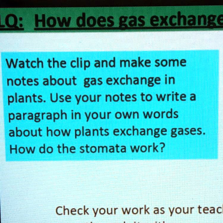 Writing Out Gas SOLVED: 'help Please and don’t waste my time bu saying that you don’t ...