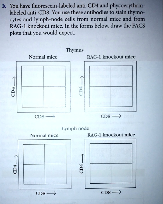3. You have fluorescein-labeled anti-CD4 and phycoerythrin-labeled anti ...