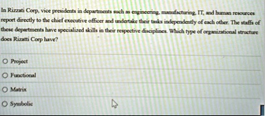 in rizzati corp vice presidents in departments such as engineering manufacturing it and human resources report directly to the chief executive officer and undertake their tasks independently 02188