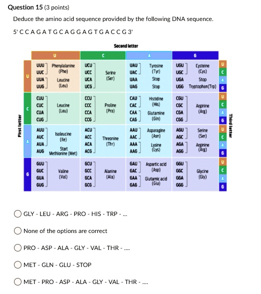 Question 15 (3 points)
Deduce the amino acid sequence provided by the following DNA sequence.
5' CCAGATGCAGGAGTGACCG 3'
Second letter
First letter
U
C
A
G
U
UUU Phenylalanine (Phe)
UUC
UUA Leucine (Leu)
UUG
UCU Serine (Ser)
UCC
UCA
UCG
UAU Tyrosine (Tyr)
UAC
UAA Stop
UAG Stop
UGU Cysteine (Cys)
UGC
UGA Stop
UGG Tryptophan (Trp)
U
C
A
G
C
CUU Leucine (Leu)
CUC
CUA
CUG
CCU Proline (Pro)
CCC
CCA
CCG
CAU Histidine (His)
CAC
CAA Glutamine (Gln)
CAG
CGU Arginine (Arg)
CGC
CGA
CGG
U
C
A
G
A
AUU Isoleucine (Ile)
AUC
AUA
AUG Start Methionine (Met)
ACU Threonine (Thr)
ACC
ACA
ACG
AAU Asparagine (Asn)
AAC
AAA Lysine (Lys)
AAG
AGU Serine (Ser)
AGC
AGA Arginine (Arg)
AGG
U
C
A
G
G
GUU Valine (Val)
GUC
GUA
GUG
GCU Alanine (Ala)
GCC
GCA
GCG
GAU Aspartic acid (Asp)
GAC
GAA Glutamic acid (Glu)
GAG
GGU Glycine (Gly)
GGC
GGA
GGG
U
C
A
G
Third letter
GLY - LEU - ARG - PRO - HIS - TRP - ...
None of the options are correct
PRO - ASP - ALA - GLY - VAL - THR - ....
MET - GLN - GLU - STOP
MET - PRO - ASP - ALA - GLY - VAL - THR - ....