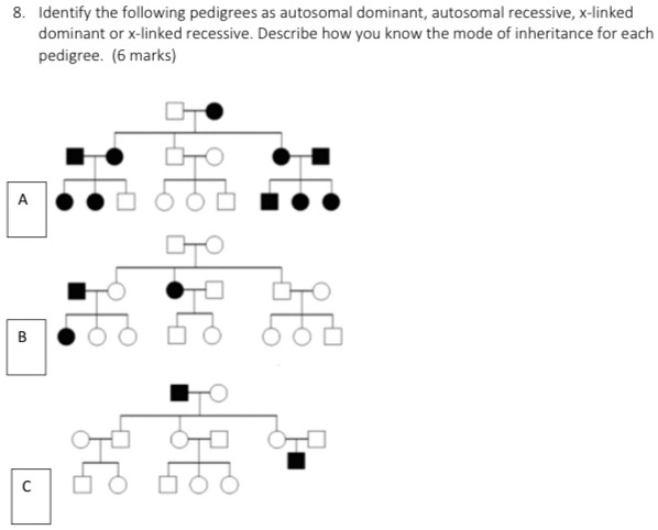 Solved Identify The Following Pedigrees As Autosomal Dominant Autosoma