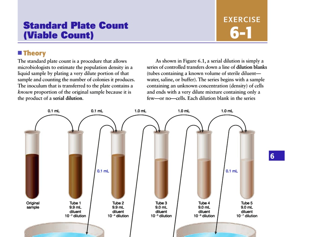 Solved Part 2 - Standard Plate Count The standard plate