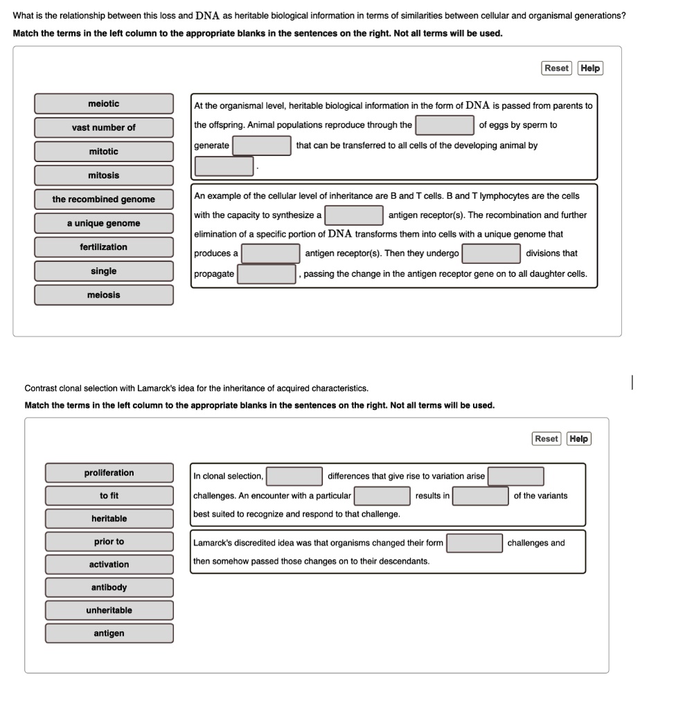 SOLVED: What is the relationship between this loss and DNA as heritable ...