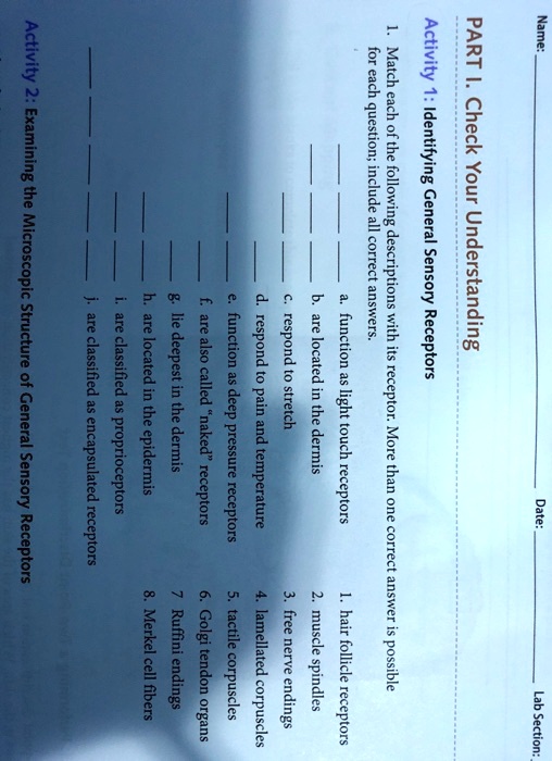 Solved Math Each Of The Following Descriptions With Its Receptor