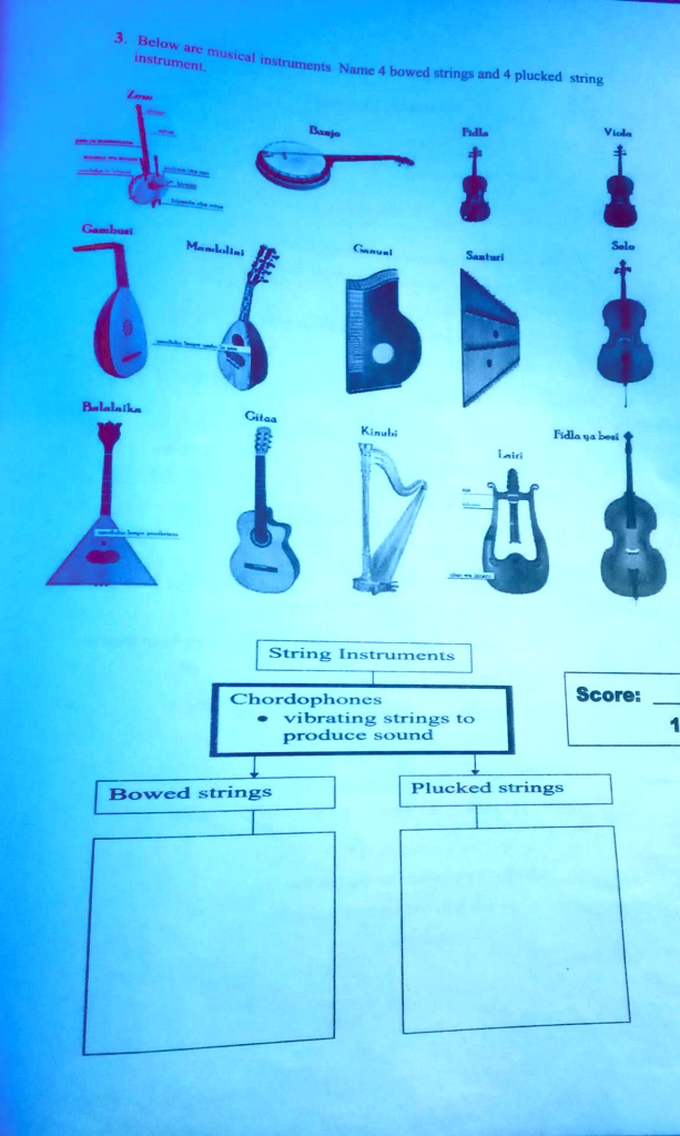 Types on sale of chordophones