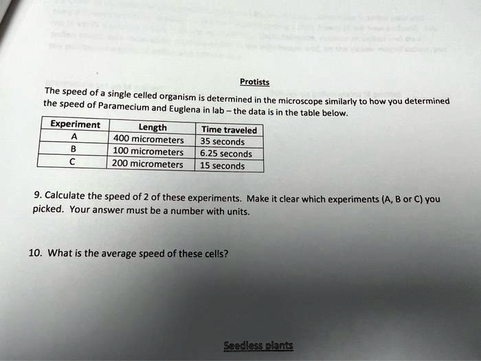 SOLVED Protists The speed of Paramecium and Euglena in the lab the