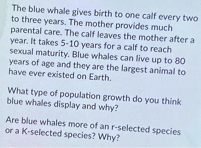 SOLVED: The blue whale gives birth to one calf to three years The every