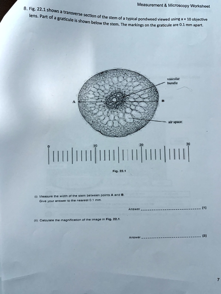 8. Fig. 22.1 shows a transverse section of the stem of a typical pondweed viewed using a × 10 objective lens. Part of a graticule is shown below the stem. The markings on the graticule are 0.1 mm apart.
vascular bundle
air space
A
B
0 10 20 30
Fig. 22.1
(i) Measure the width of the stem between points A and B.
Give your answer to the nearest 0.1 mm.
Answer [1]
(ii) Calculate the magnification of the image in Fig. 22.1.
Answer [2]