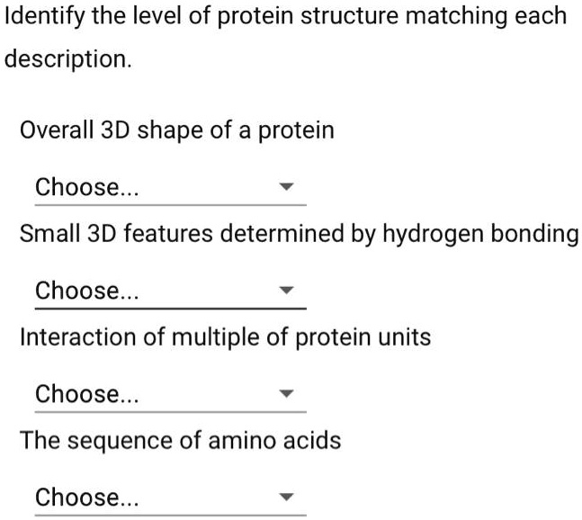 SOLVED Identify the level of protein structure matching each